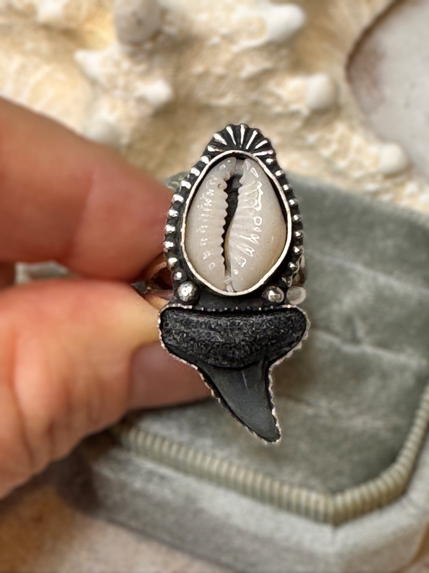 Handcrafted sterling silver ring with cowrie shell and fossil shark tooth, finished on a split shank band, displayed in hand.