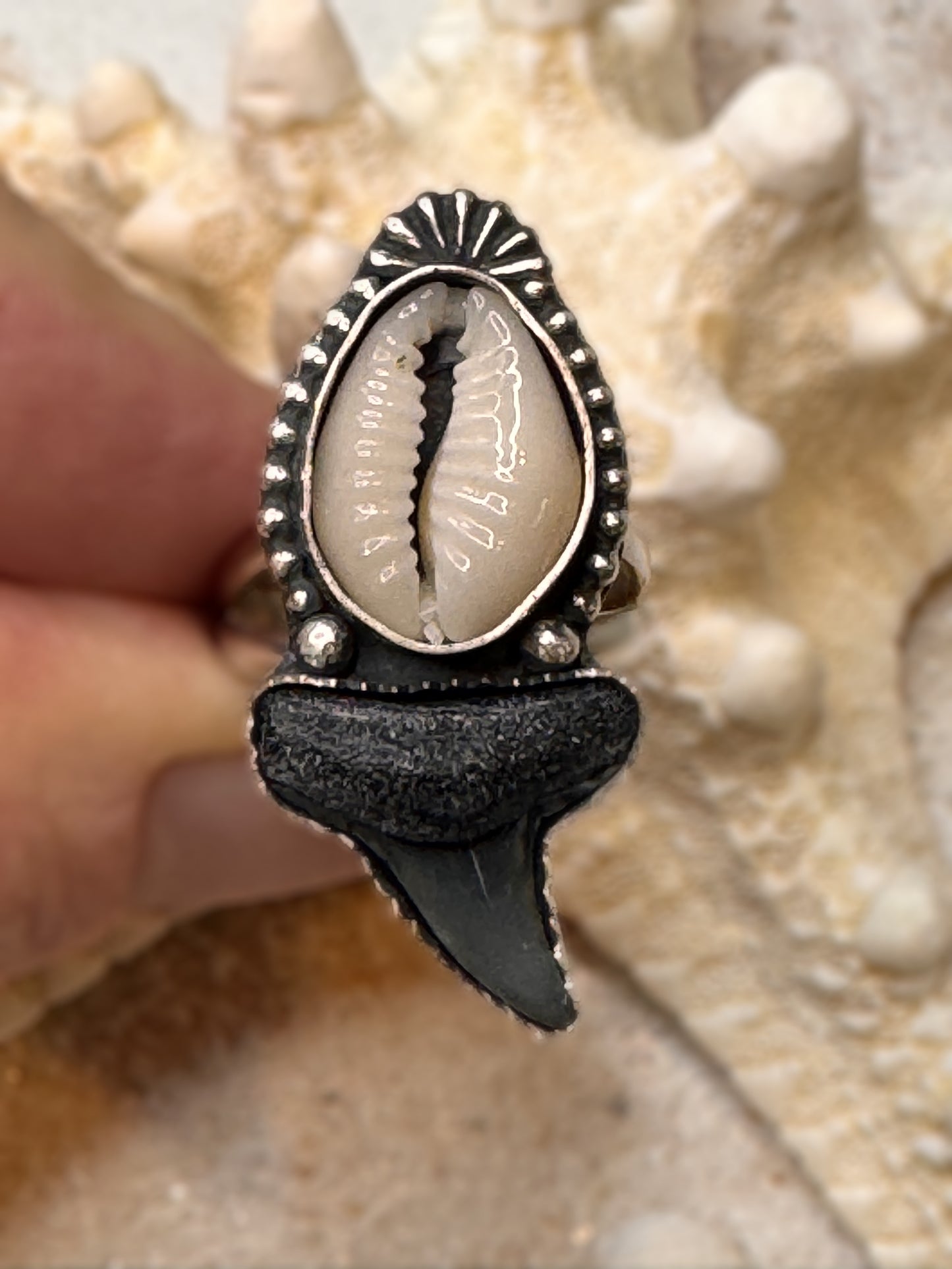 Handcrafted sterling silver ring with cowrie shell and fossil shark tooth, finished on a split shank band, displayed in hand.