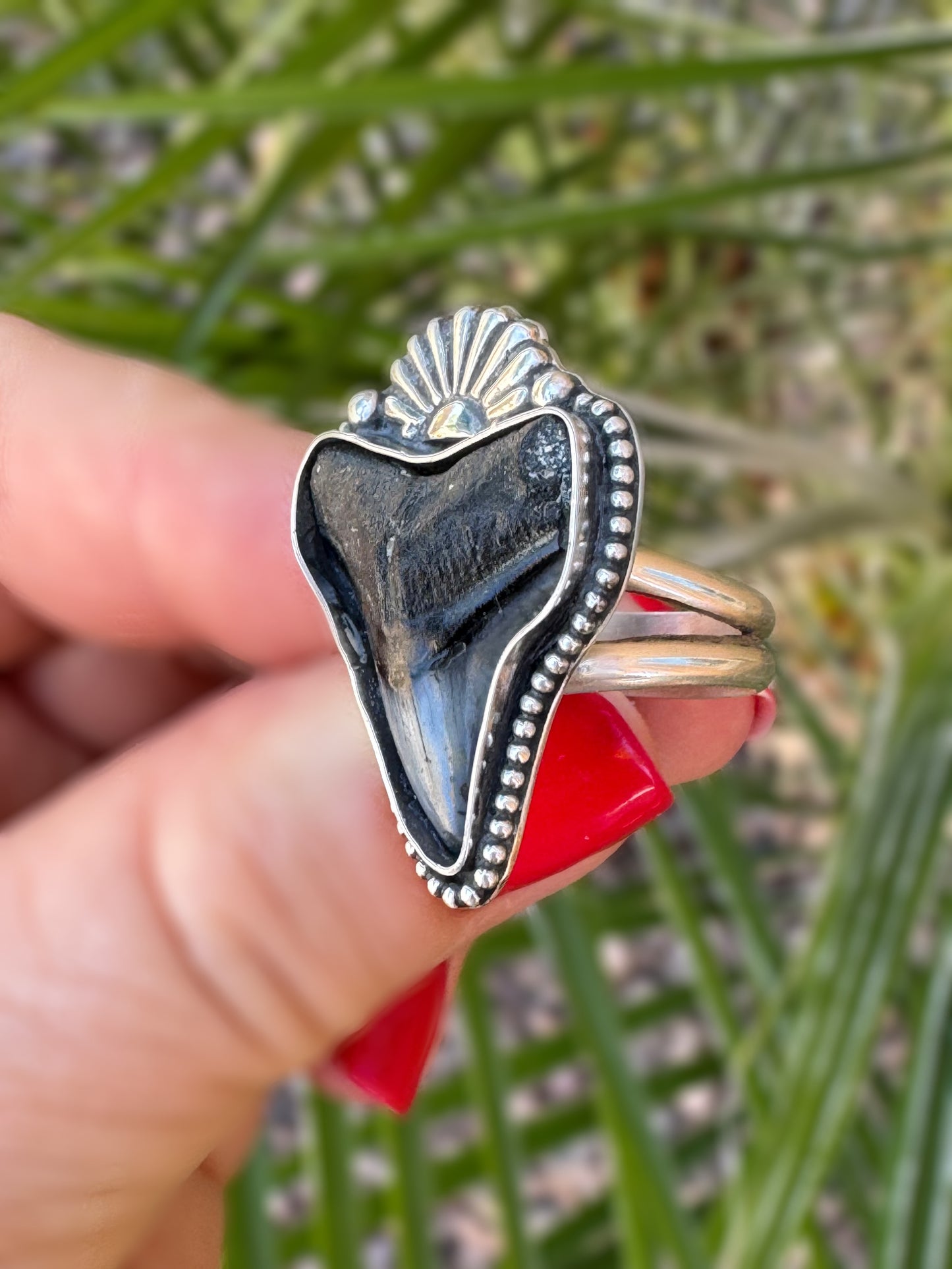 Fossilized Shark Tooth Statement Ring or Pendant – Sterling Silver Ocean Talisman