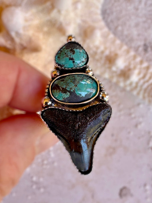 Turquoise stone ring with a shark tooth on a textured surface