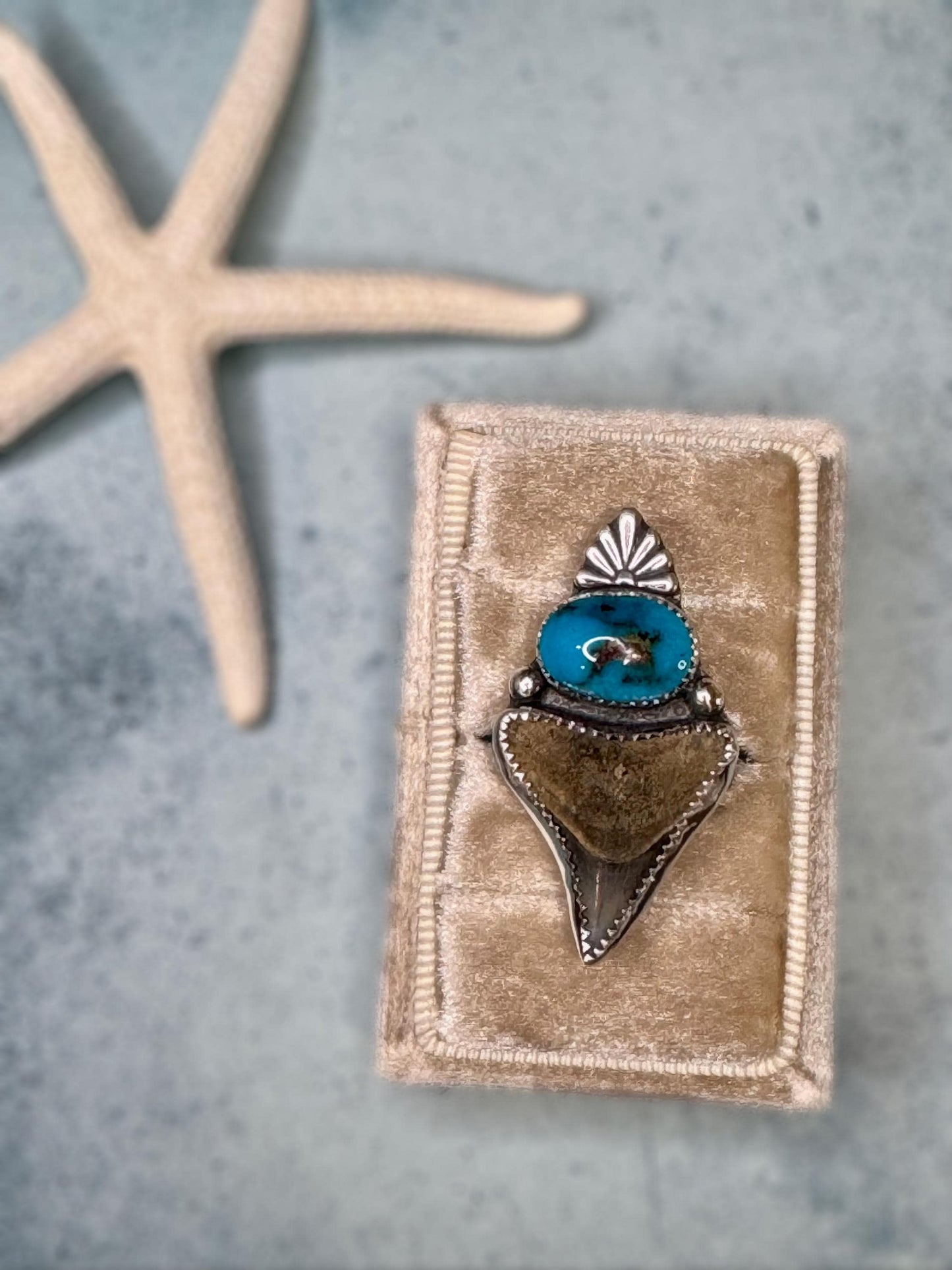 Original Shark Tooth & rare Bisbee Turquoise Statement Ring | Ocean Goddess Ring | Sterling Silver Ring | Coastal Jewelry | Size 6.5