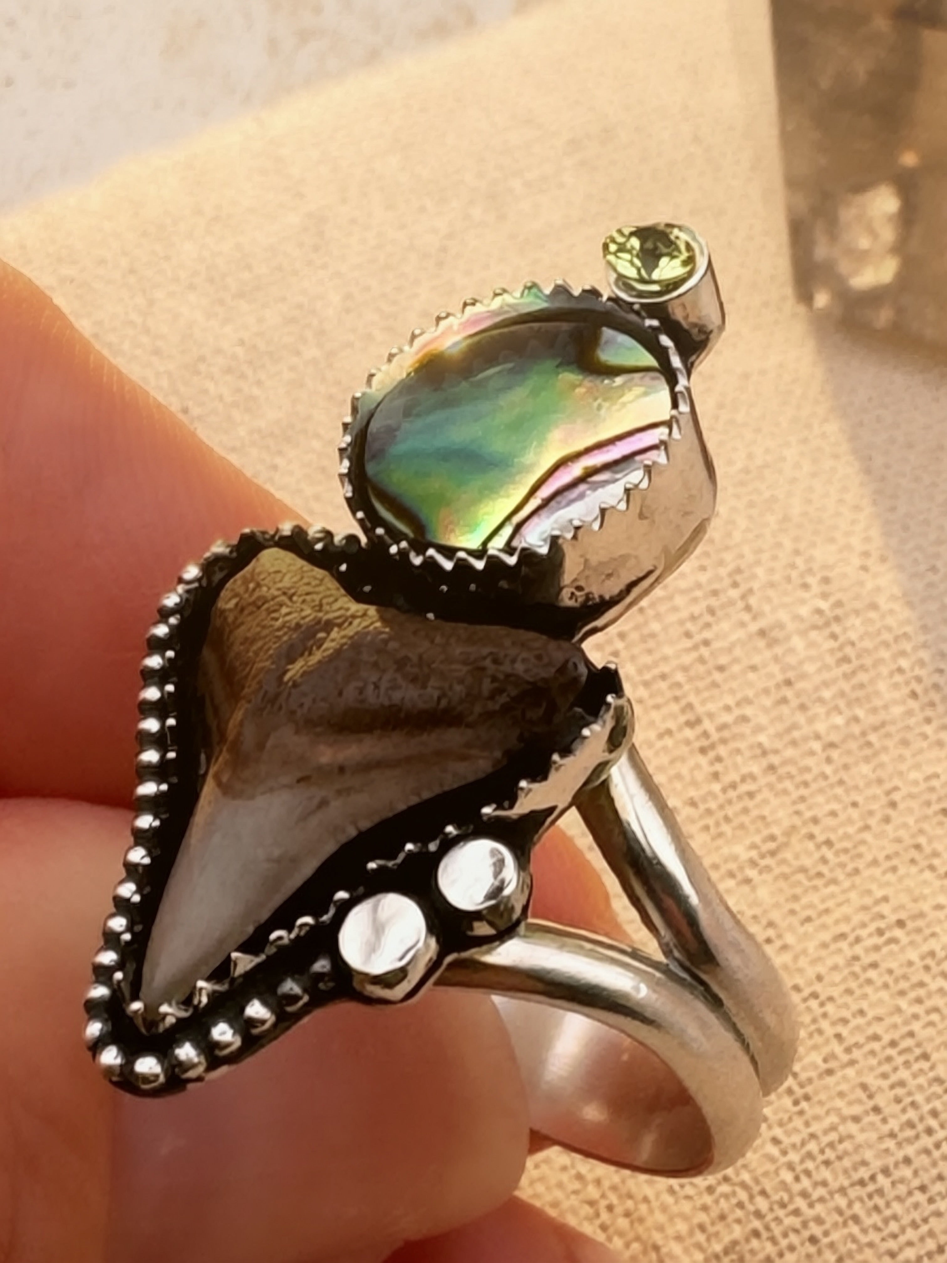 Shark tooth ring with abalone, peridot and silver accents held by a hand on a beige background