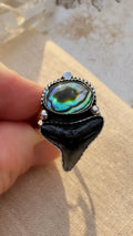 Abalone and Fossil Shark Tooth Statement Ring in Sterling Silver