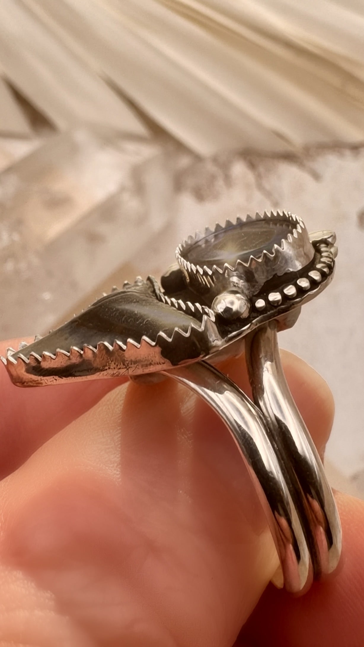 Abalone and Fossil Shark Tooth Statement Ring in Sterling Silver