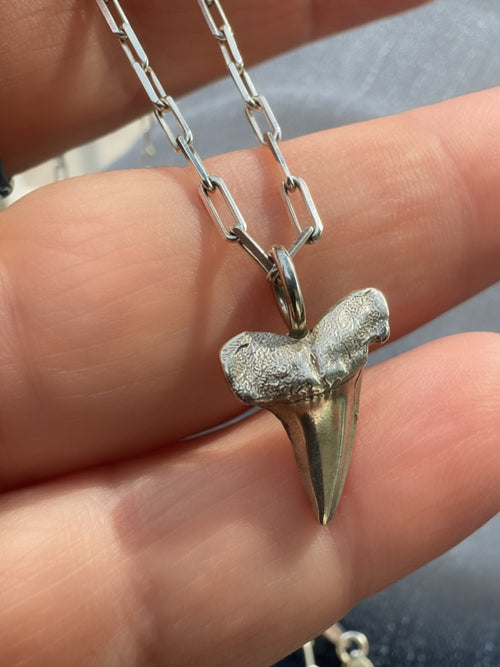 Silver shark tooth pendant on a chain held between fingers