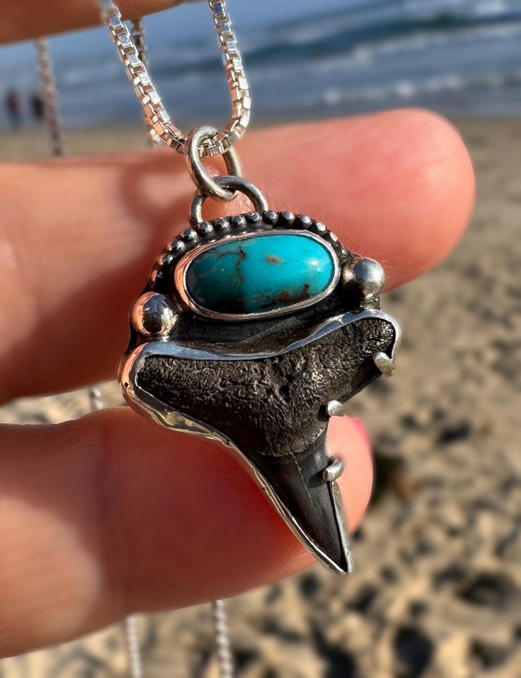 Fossil Shark Tooth & Bisbee Turquoise Necklace – Handcrafted Silver Pendant on 20” Box Chain