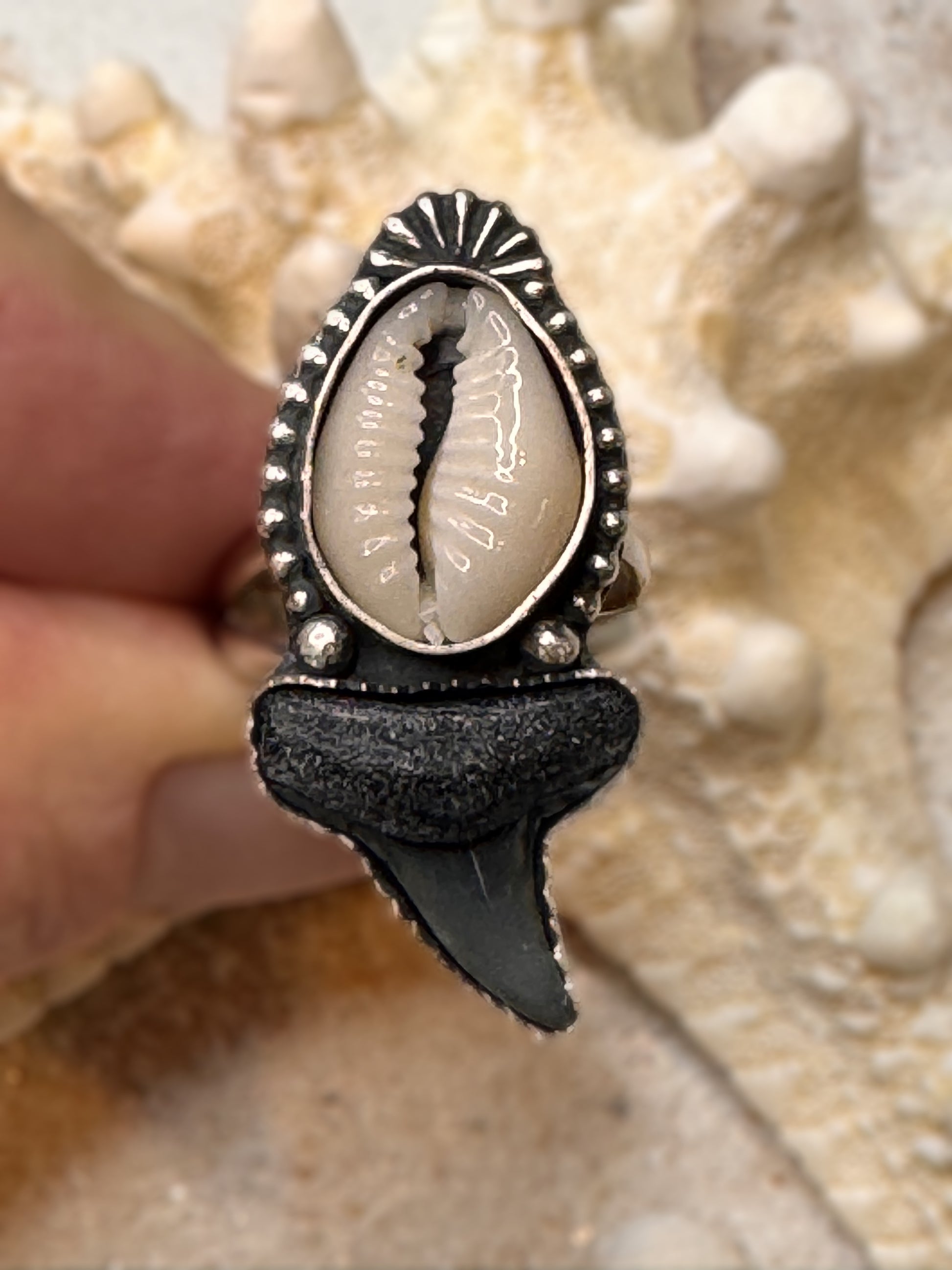Handcrafted sterling silver ring with cowrie shell and fossil shark tooth, finished on a split shank band, displayed in hand.