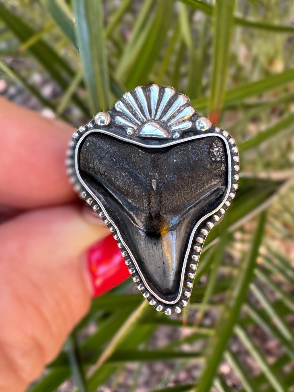 Silver-framed shark tooth held by a hand with red nail polish against a green leafy background