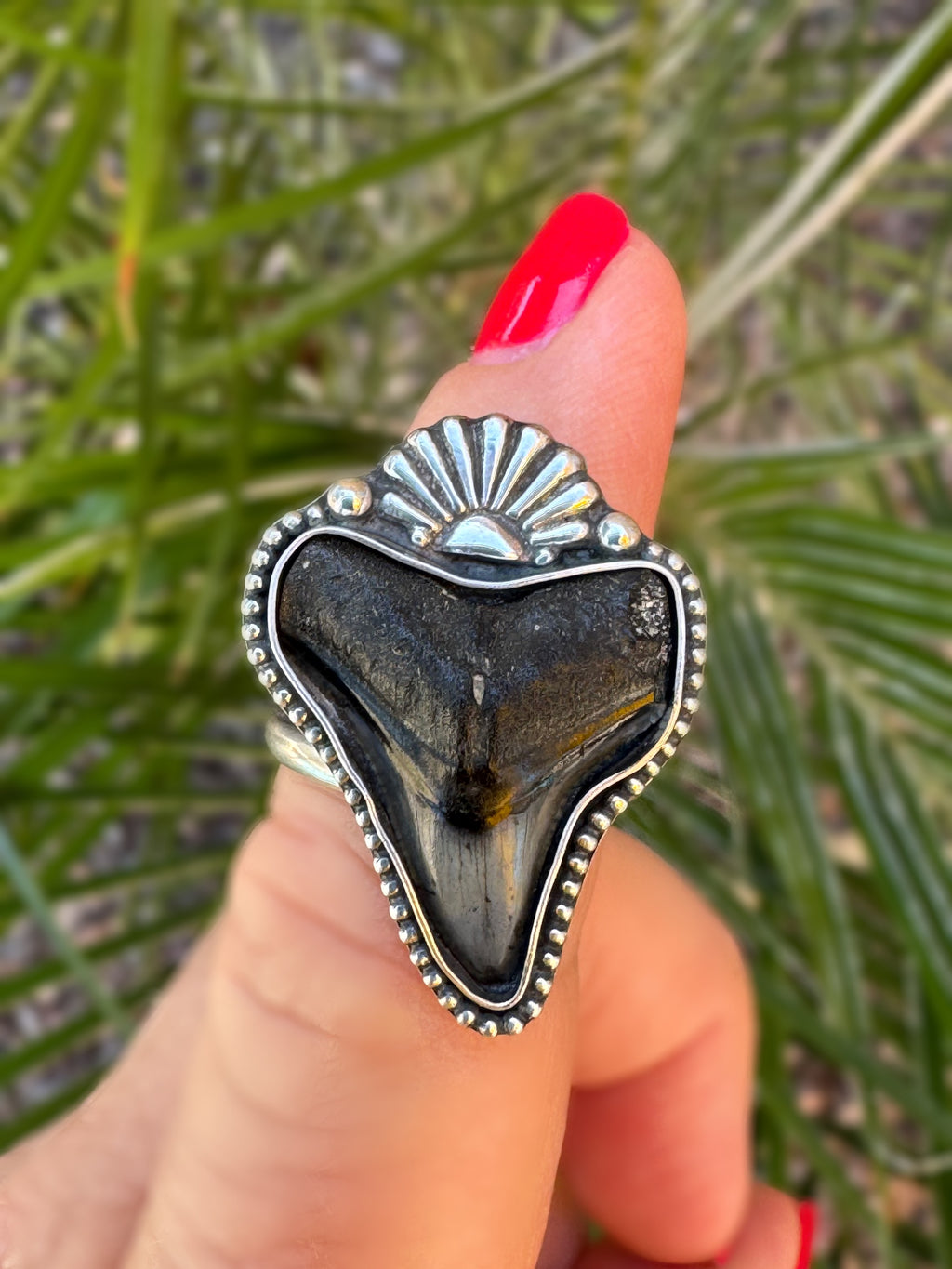 Ring with a black shark tooth and silver border on a finger against a green leafy background