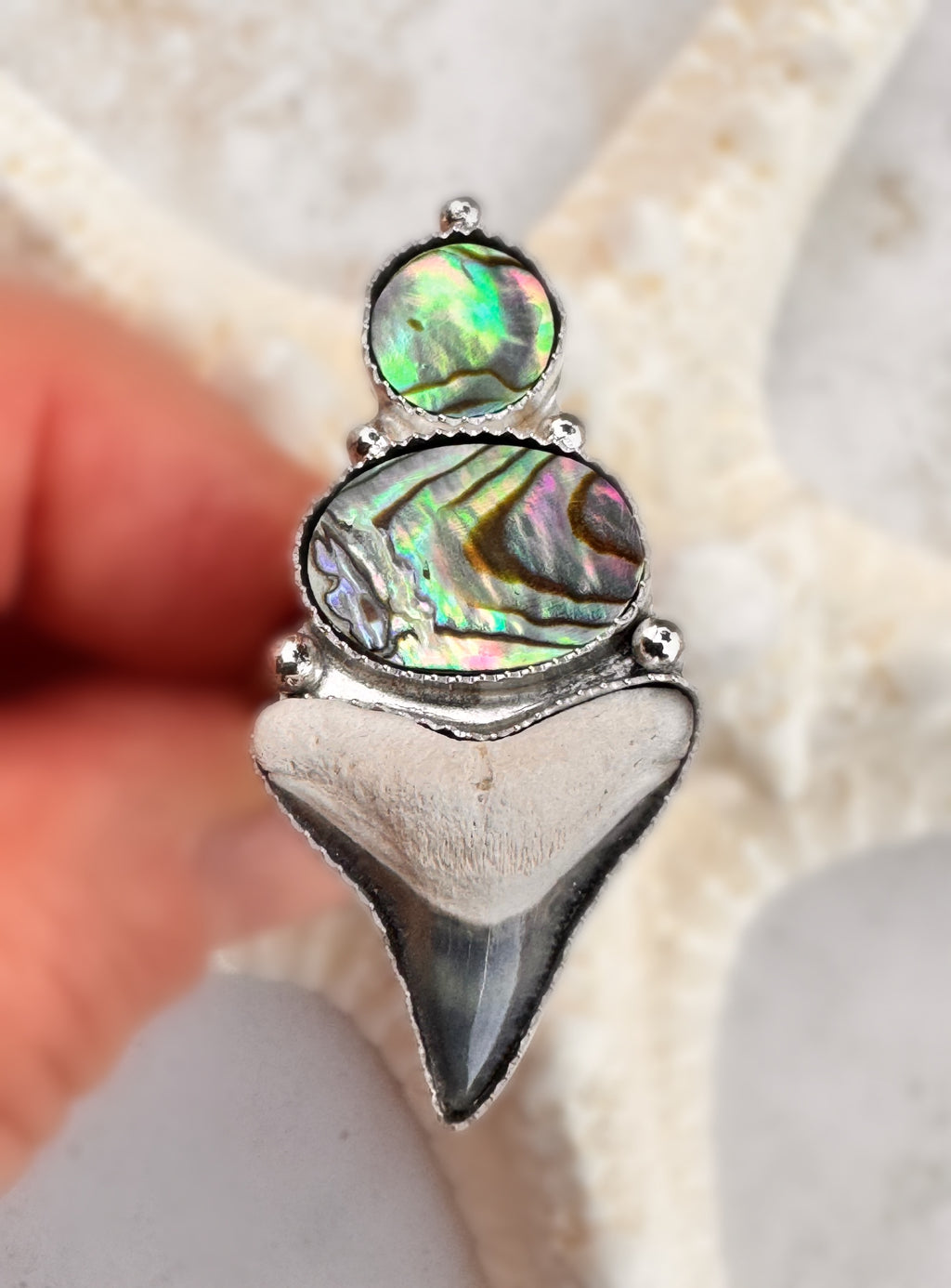 Silver ring with abalone shell and a shark tooth against a natural background