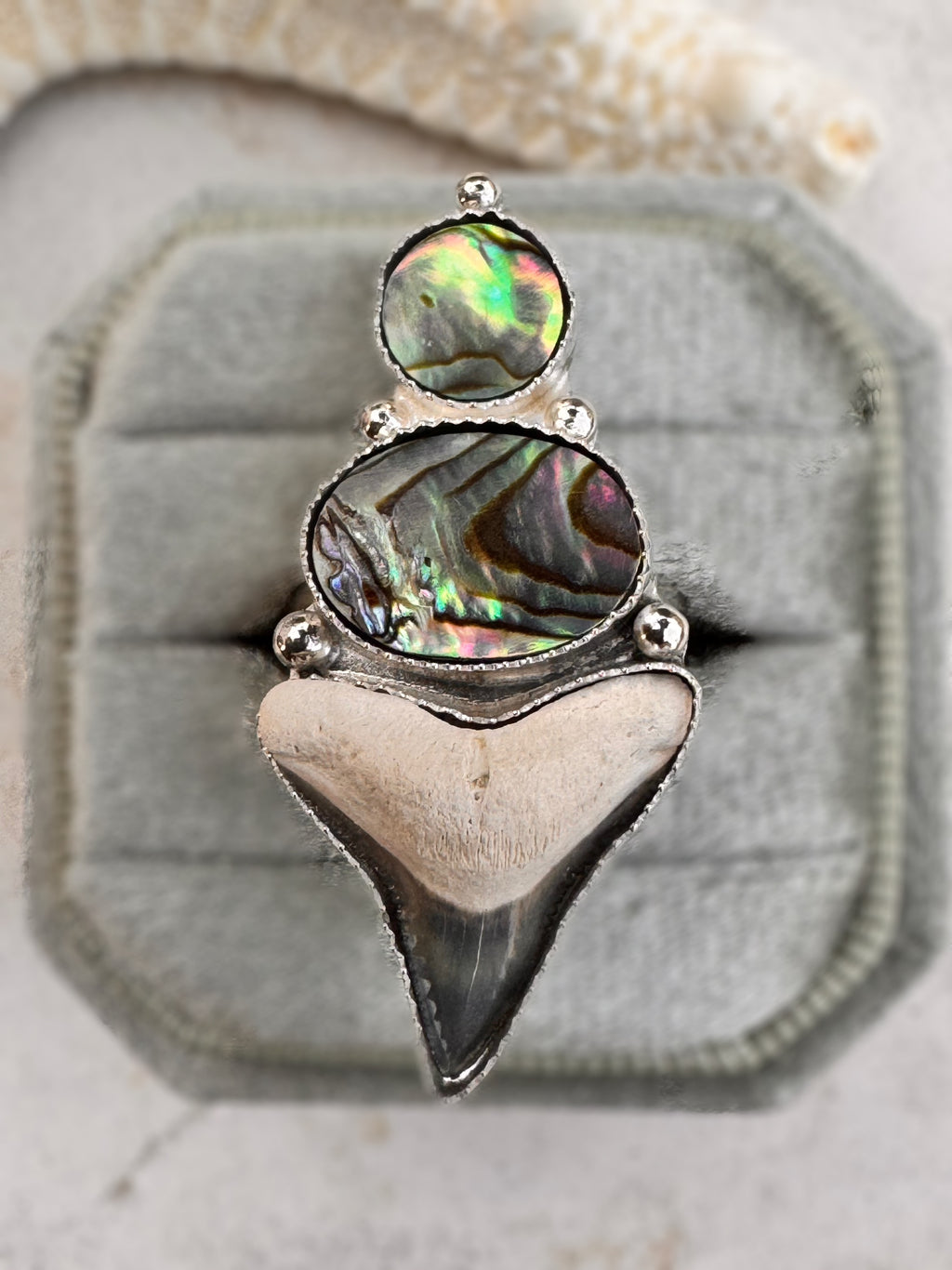 Silver ring with abalone shell and a shark tooth in a ring box
