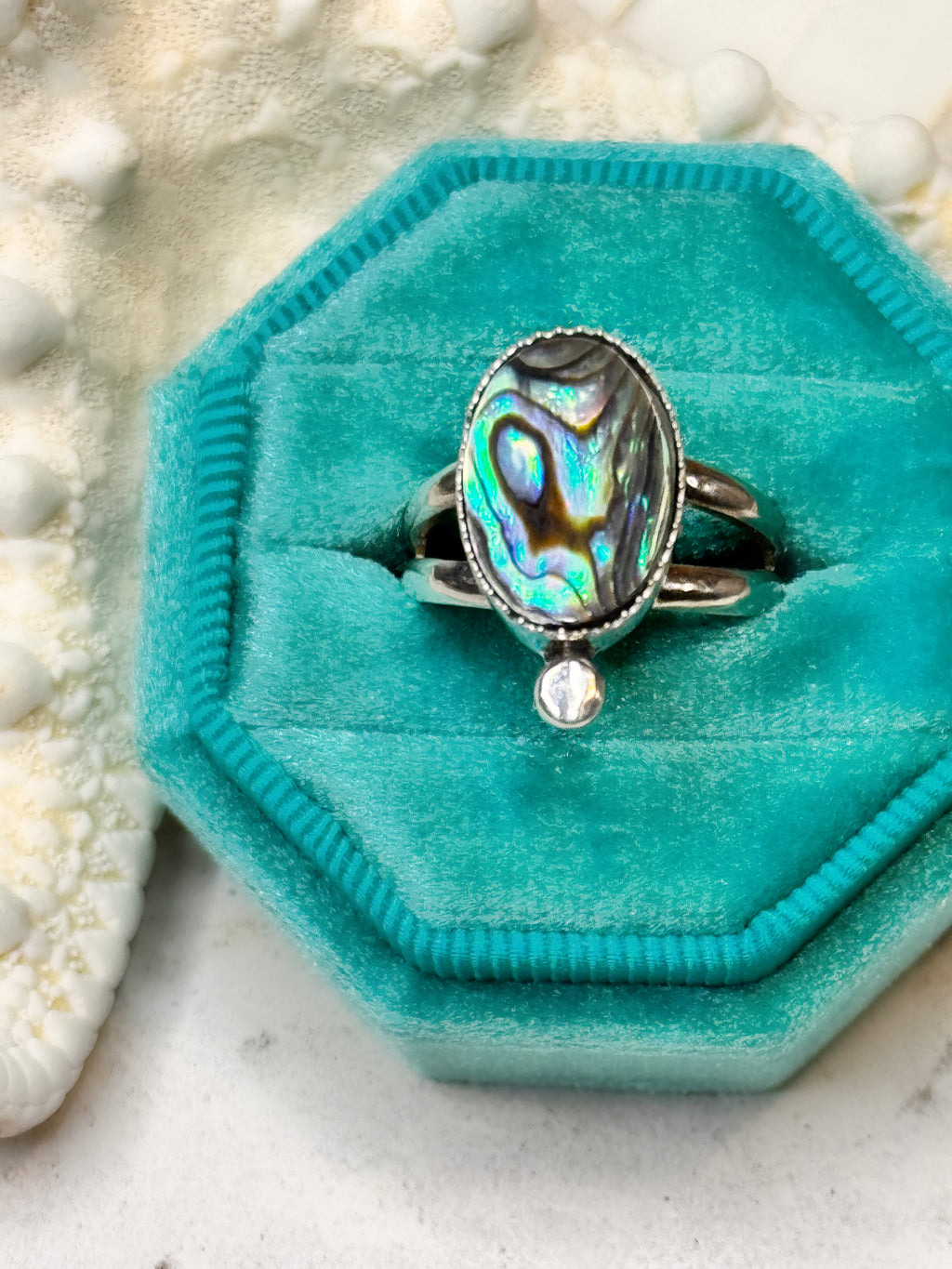 Close up of an abalone ring in a ring box