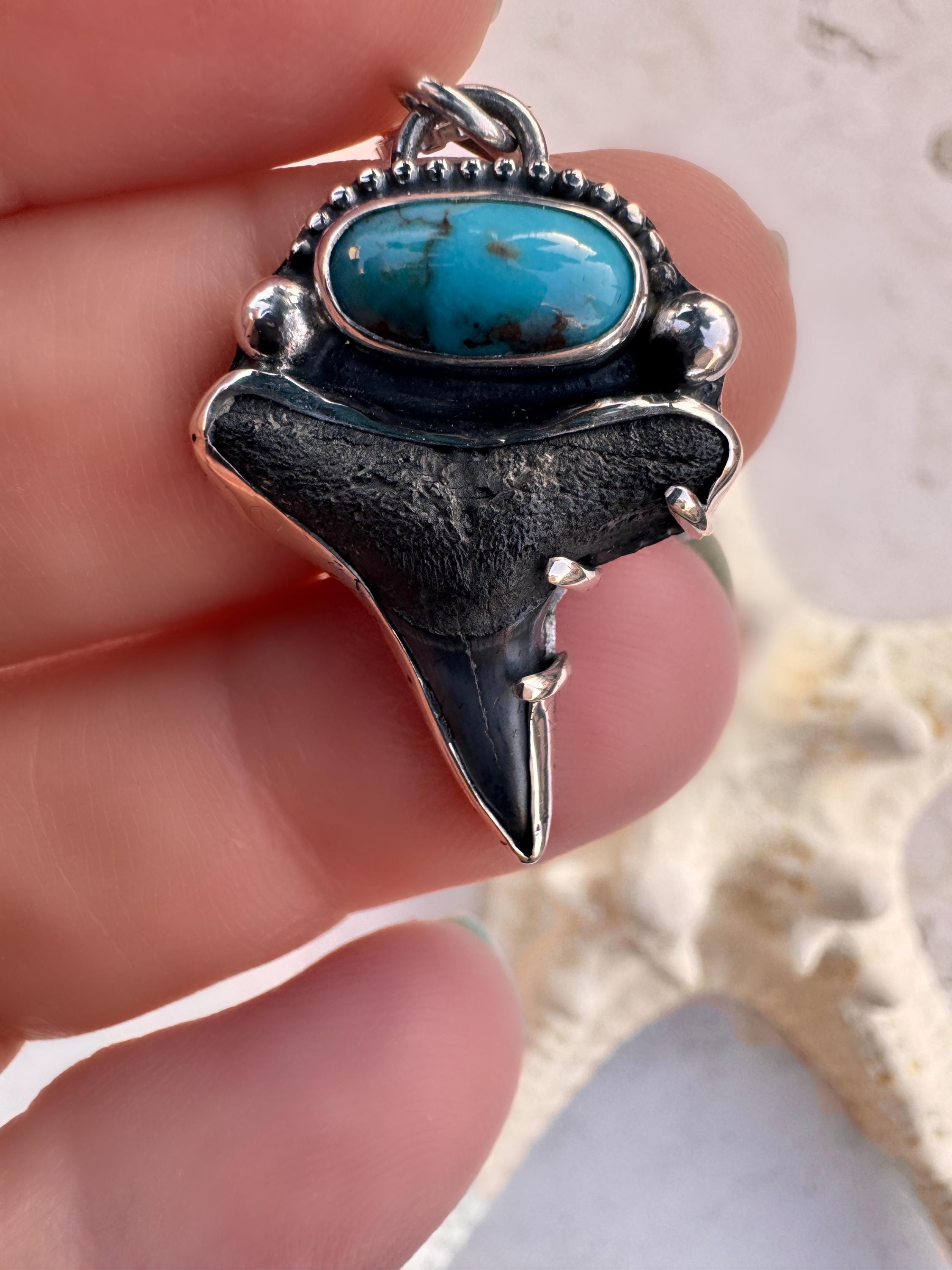 Fossil Shark Tooth & Bisbee Turquoise Necklace – Handcrafted Silver Pendant on 20” Box Chain