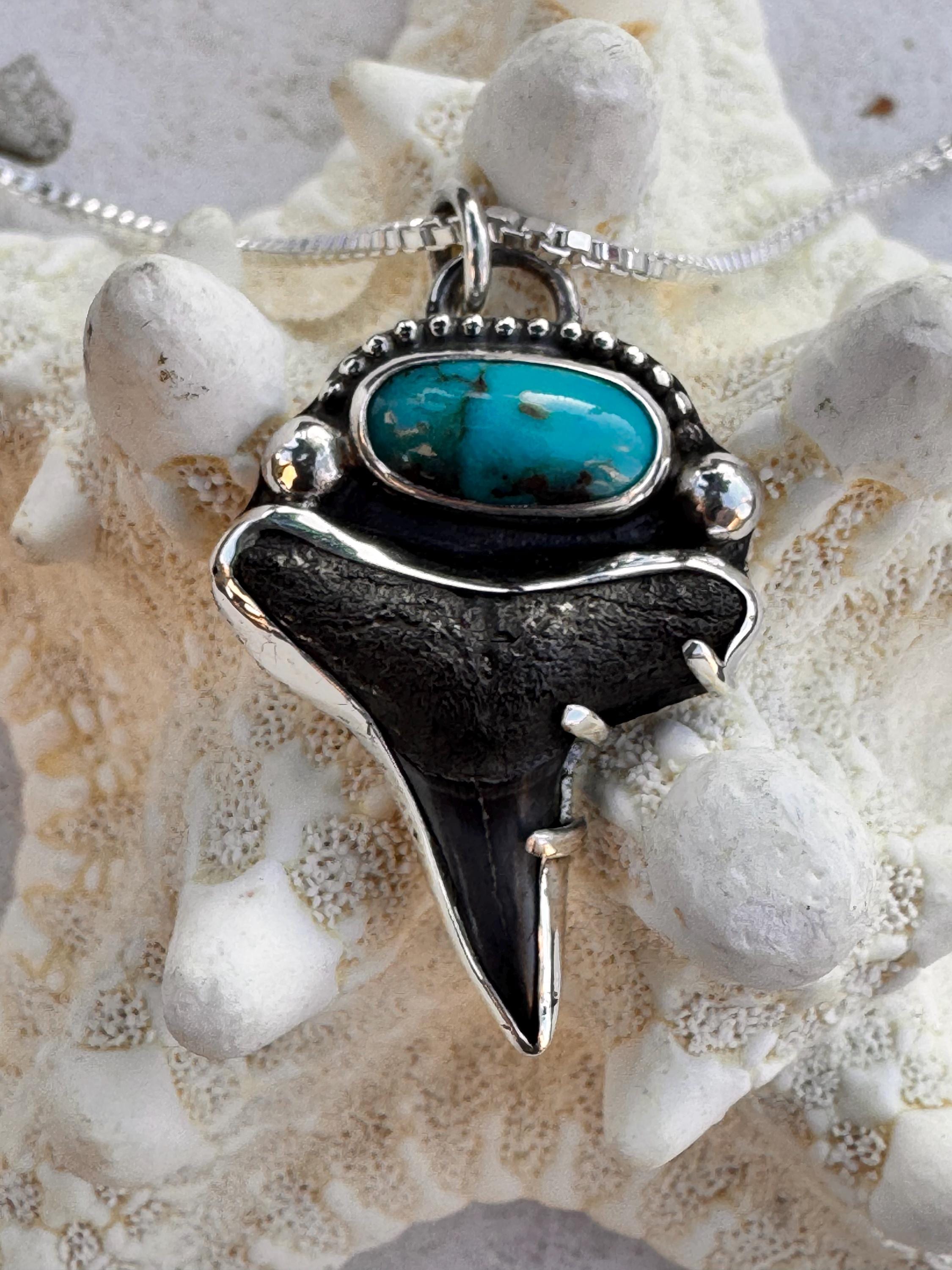 Fossil Shark Tooth & Bisbee Turquoise Necklace – Handcrafted Silver Pendant on 20” Box Chain