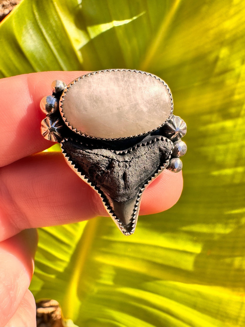 Moonstone and Fossilized Shark Tooth, One-of-a-Kind Boho Western Coastal Ring in Sterling and Fine Silver - Ready to Ship Size 9 Ring